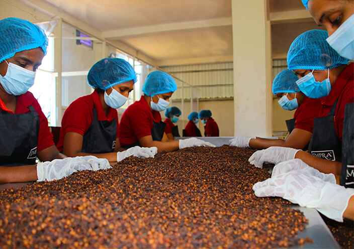 Spice processing facility